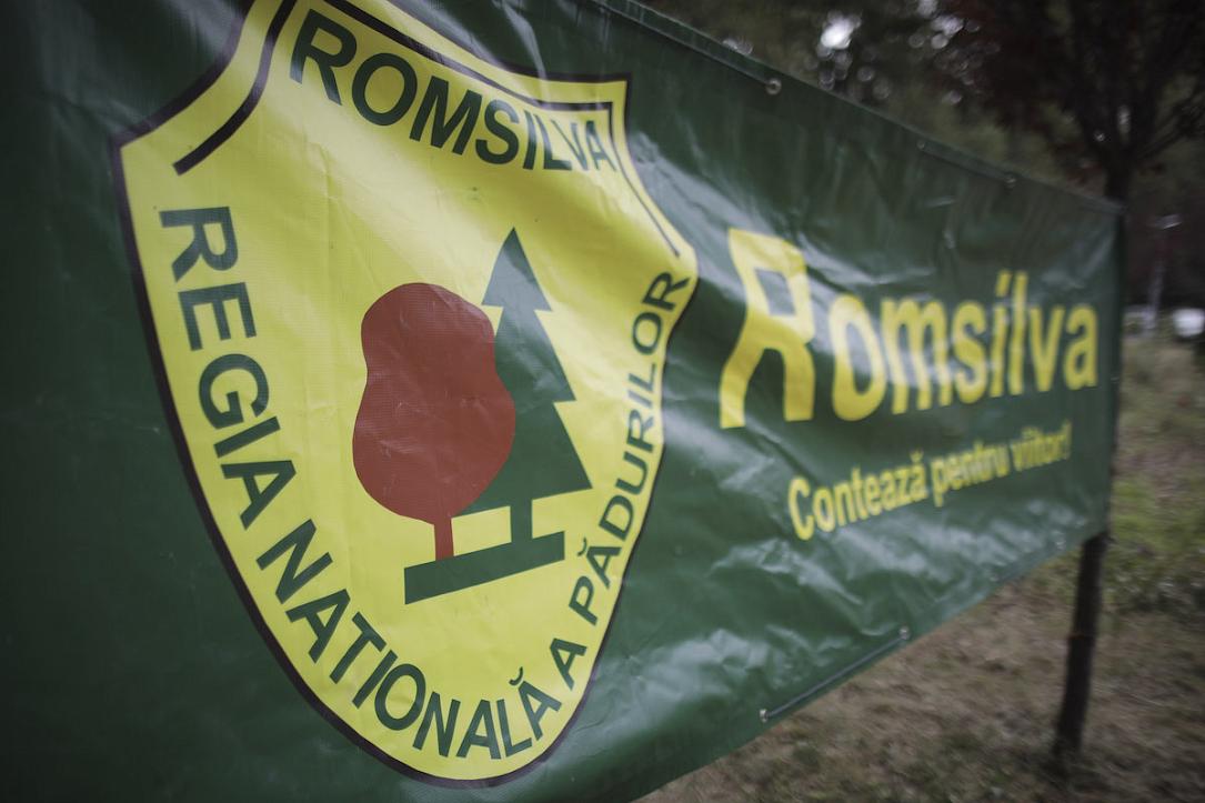 romanias romsilva secures 4600 hectares of forests after 20 year litigation